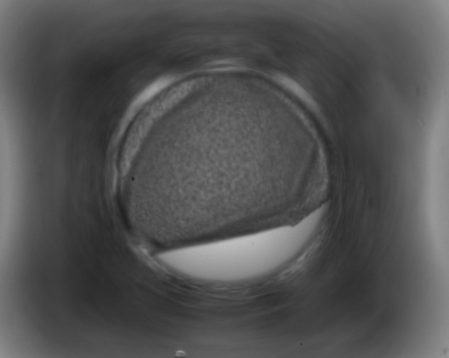 X0000085311413200703302013