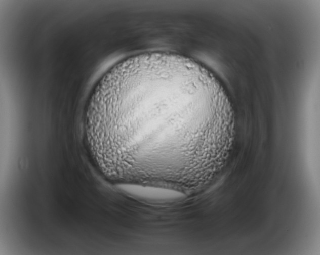 X0000085311415200703302013