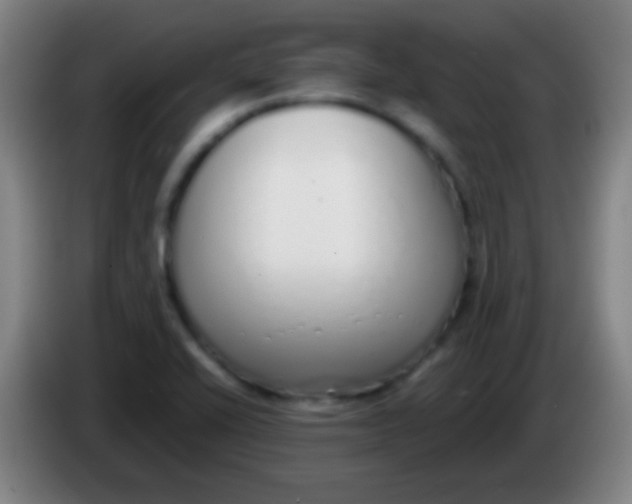 X0000085311416200703302013