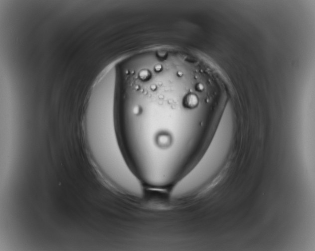 X0000085311417200703302013