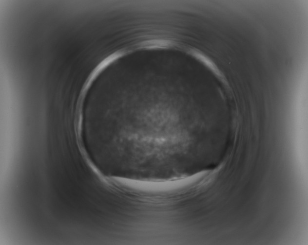 X0000085311418200703302013