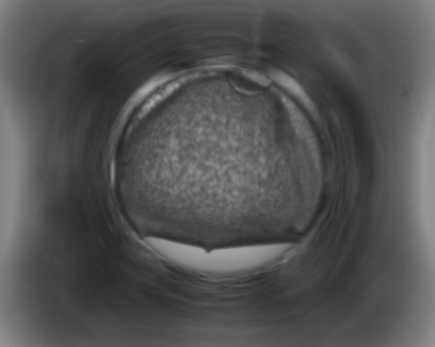 X0000085311419200703302013