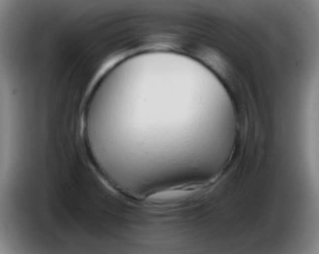 X0000085311420200703302013