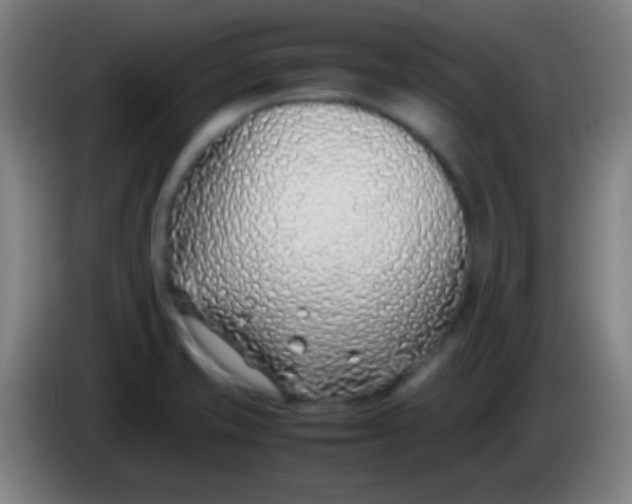 X0000085311421200703302013