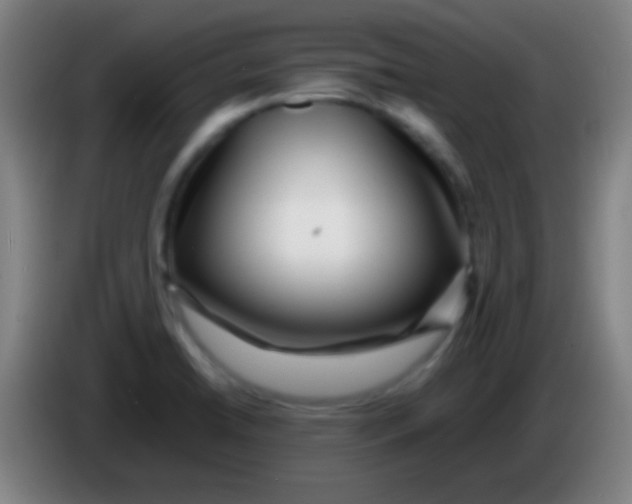 X0000085311422200703302013