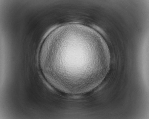 X0000085311423200703302013