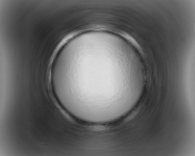 X0000085311424200703302013