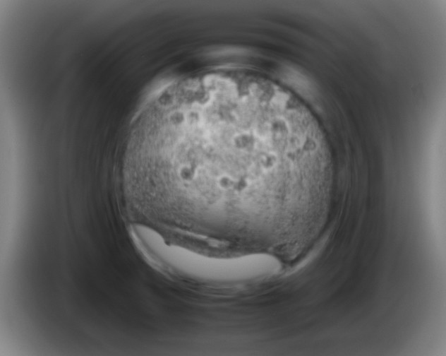 X0000085311425200703302013