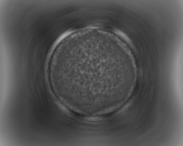 X0000085311427200703302013