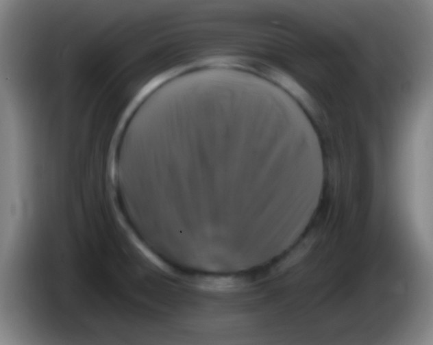 X0000085311428200703302013