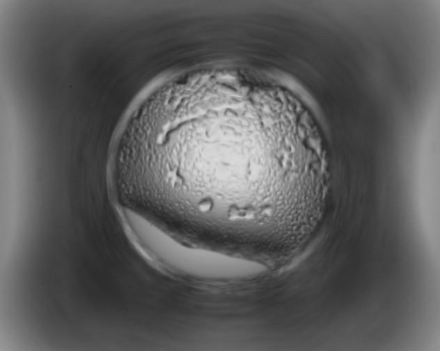 X0000085311429200703302013