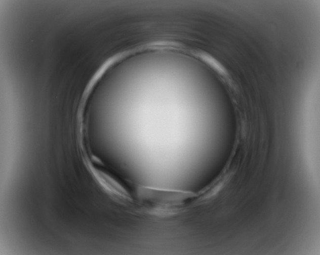 X0000085311430200703302013