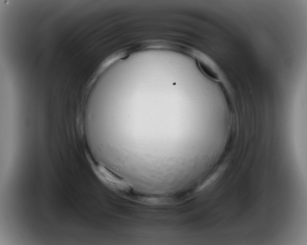 X0000085311433200703302013