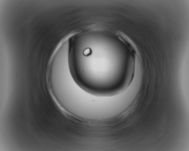 X0000085311434200703302013