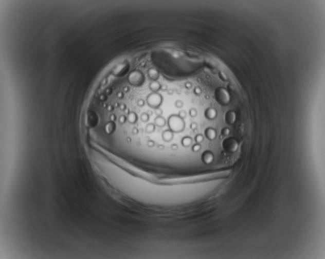 X0000085311435200703302013