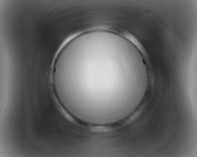 X0000085311436200703302013