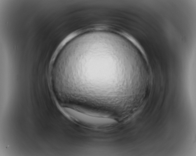 X0000085311437200703302013