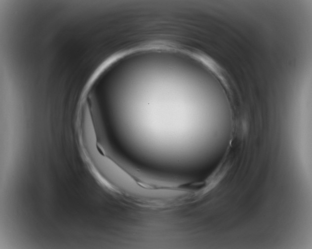 X0000085311438200703302013