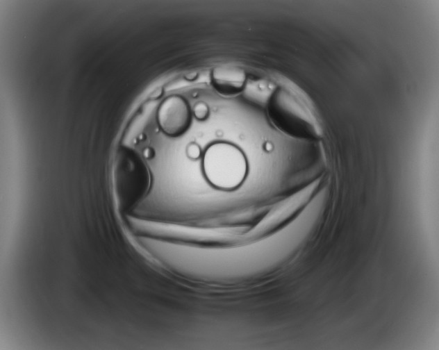 X0000085311439200703302013