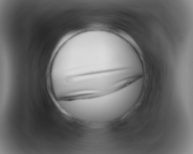 X0000085311440200703302013