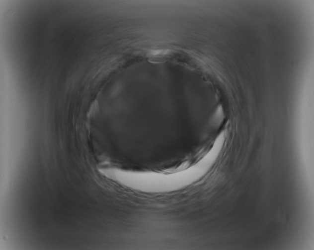 X0000085311441200703302012