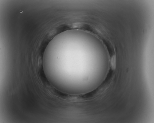 X0000085311443200703302012