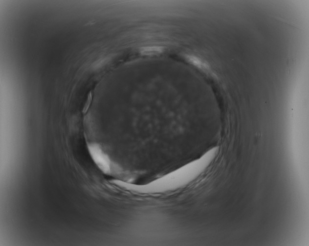 X0000085311445200703302012