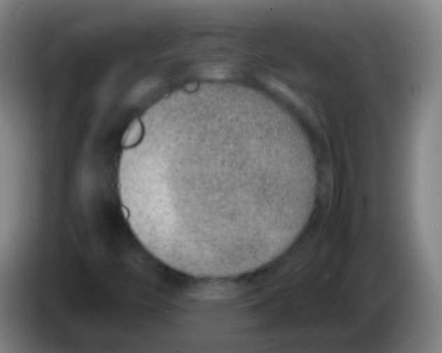 X0000085311446200703302012