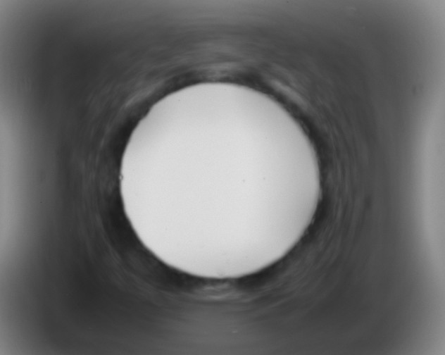 X0000085311447200703302012