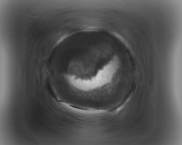 X0000085311449200703302012