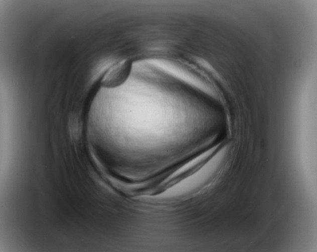 X0000085311450200703302012