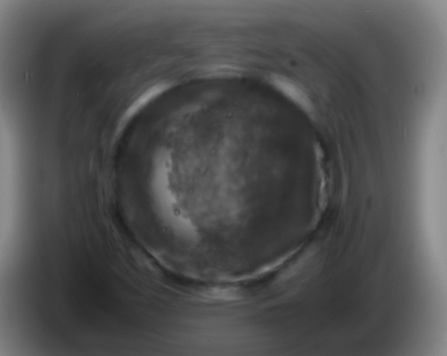 X0000085311453200703302012