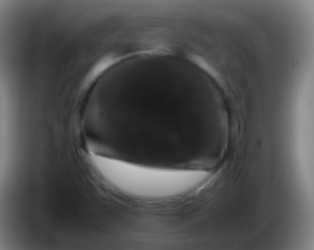 X0000085311455200703302012