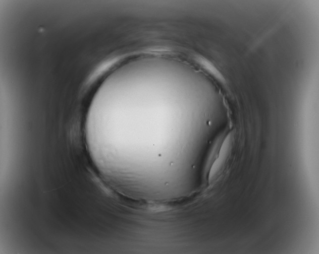 X0000085311456200703302012