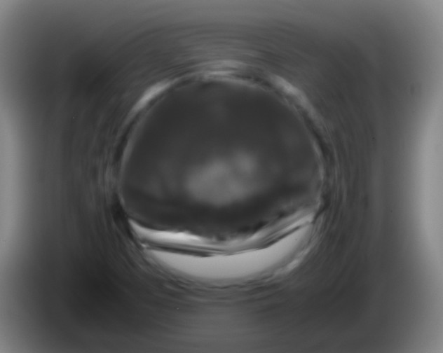 X0000085311457200703302012