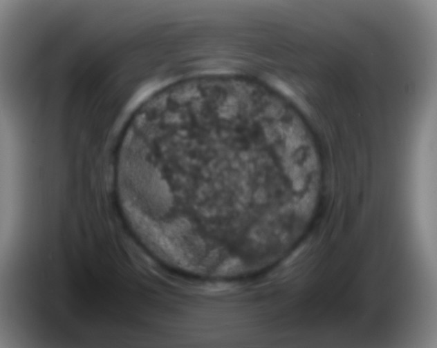 X0000085311459200703302012