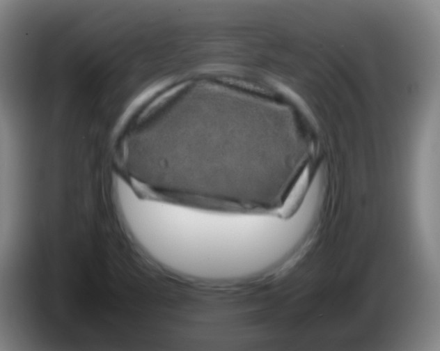 X0000085311461200703302012