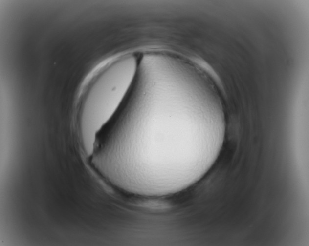 X0000085311464200703302012