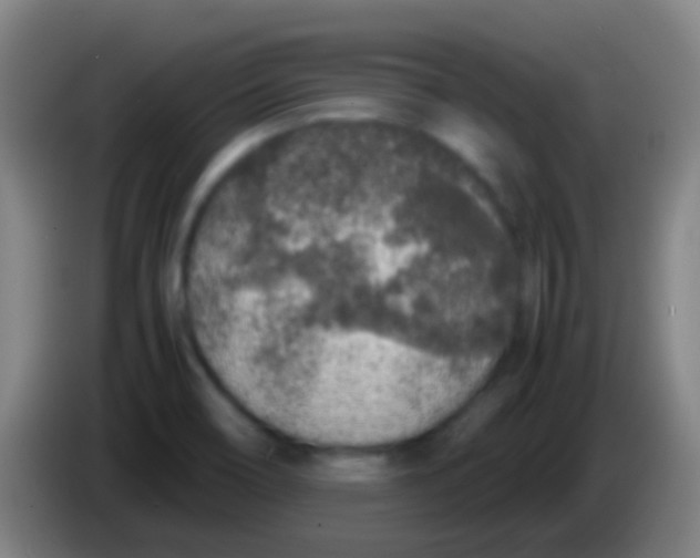 X0000085311466200703302012