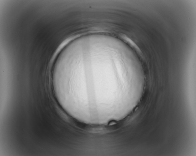 X0000085311467200703302012