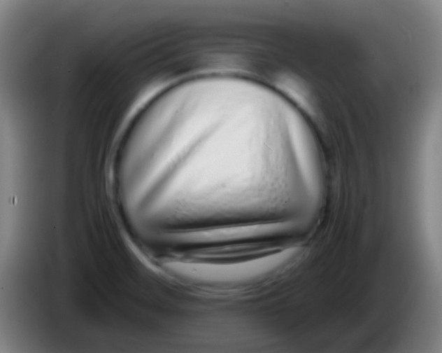 X0000085311468200703302012