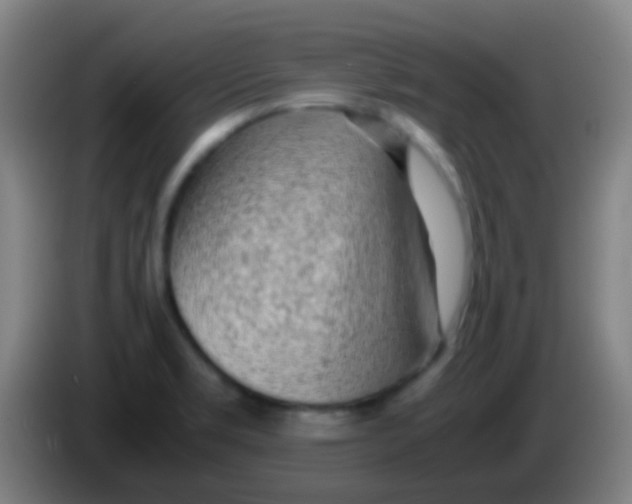 X0000085311469200703302012