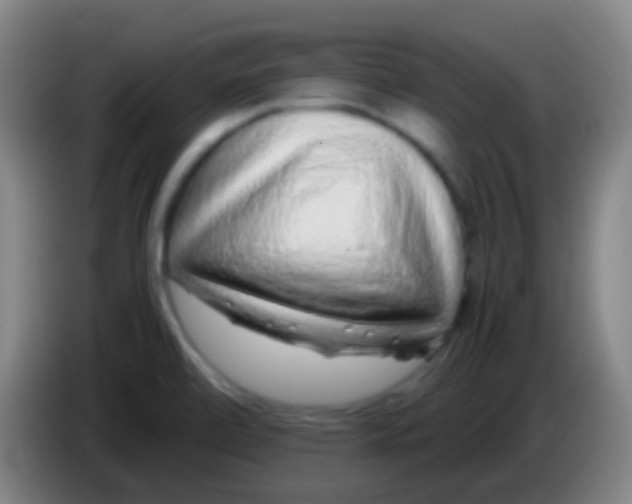 X0000085311472200703302012