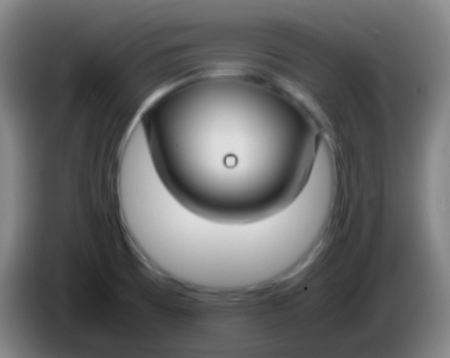 X0000085311473200703302012