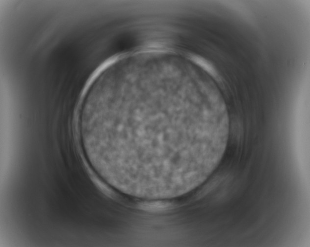 X0000085311474200703302012