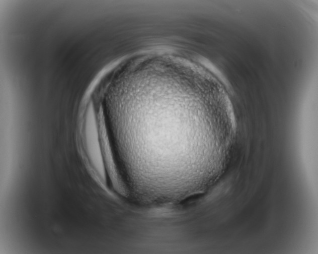 X0000085311477200703302012