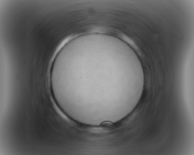 X0000085311479200703302012