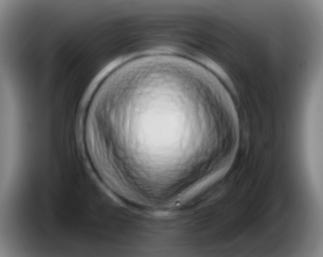 X0000085311480200703302012