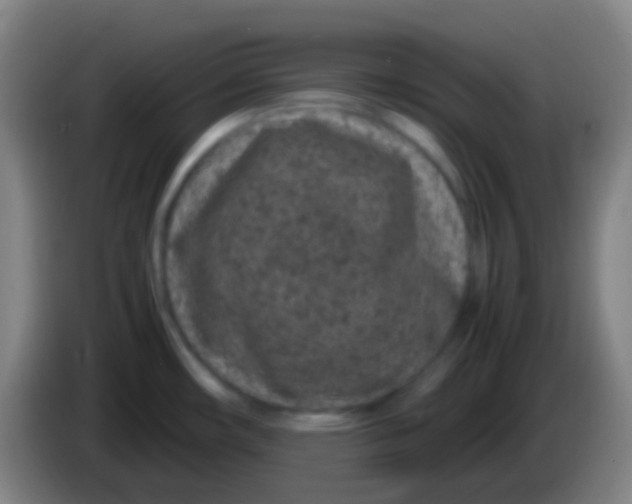 X0000085311482200703302012