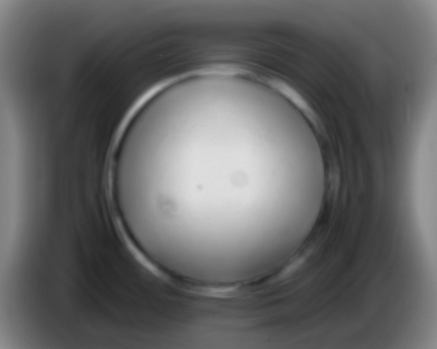 X0000085311484200703302012